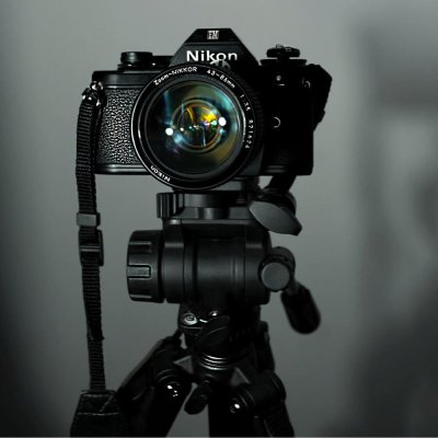 Fotografia Profissional - 2